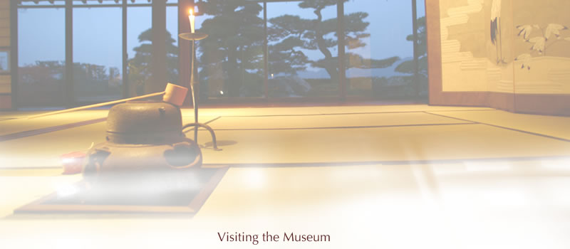 Visiting the Museum